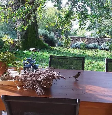 Summer House Emma Holiday home Pazin